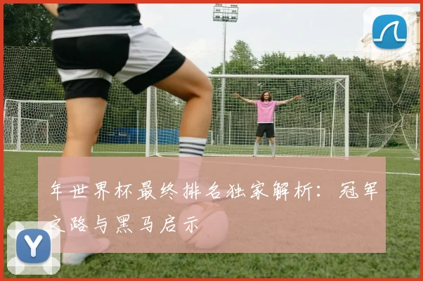 年世界杯最终排名独家解析：冠军之路与黑马启示