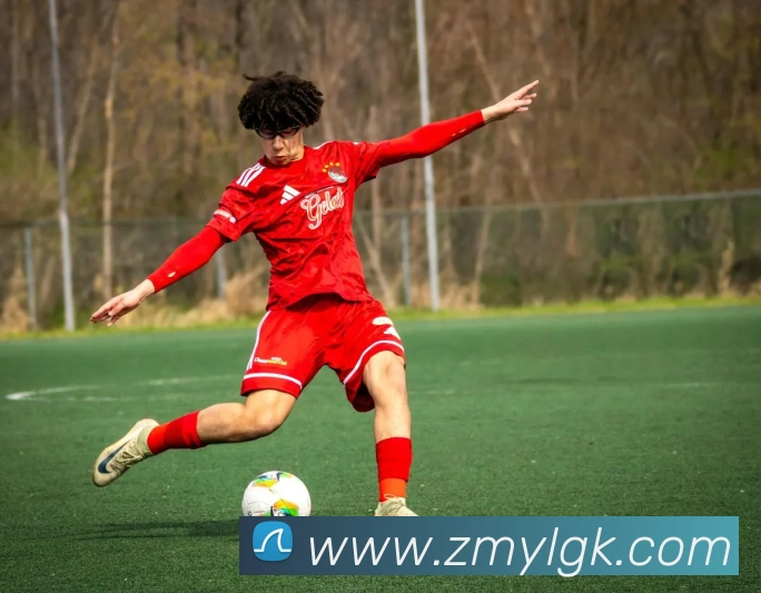 开云手机在线登录界面APP 封面图